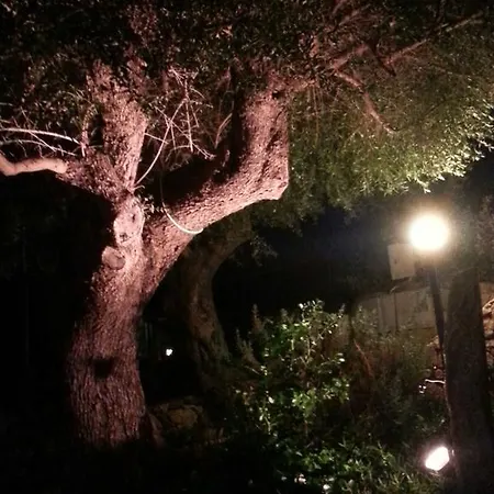 Mialiviosa Casa vacanze Budoni