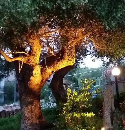 Mialiviosa *